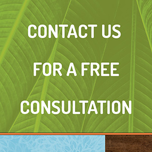 Free consultation